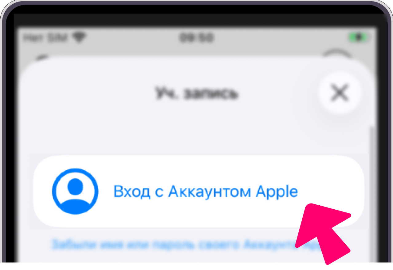 Кнопка входа в Apple ID