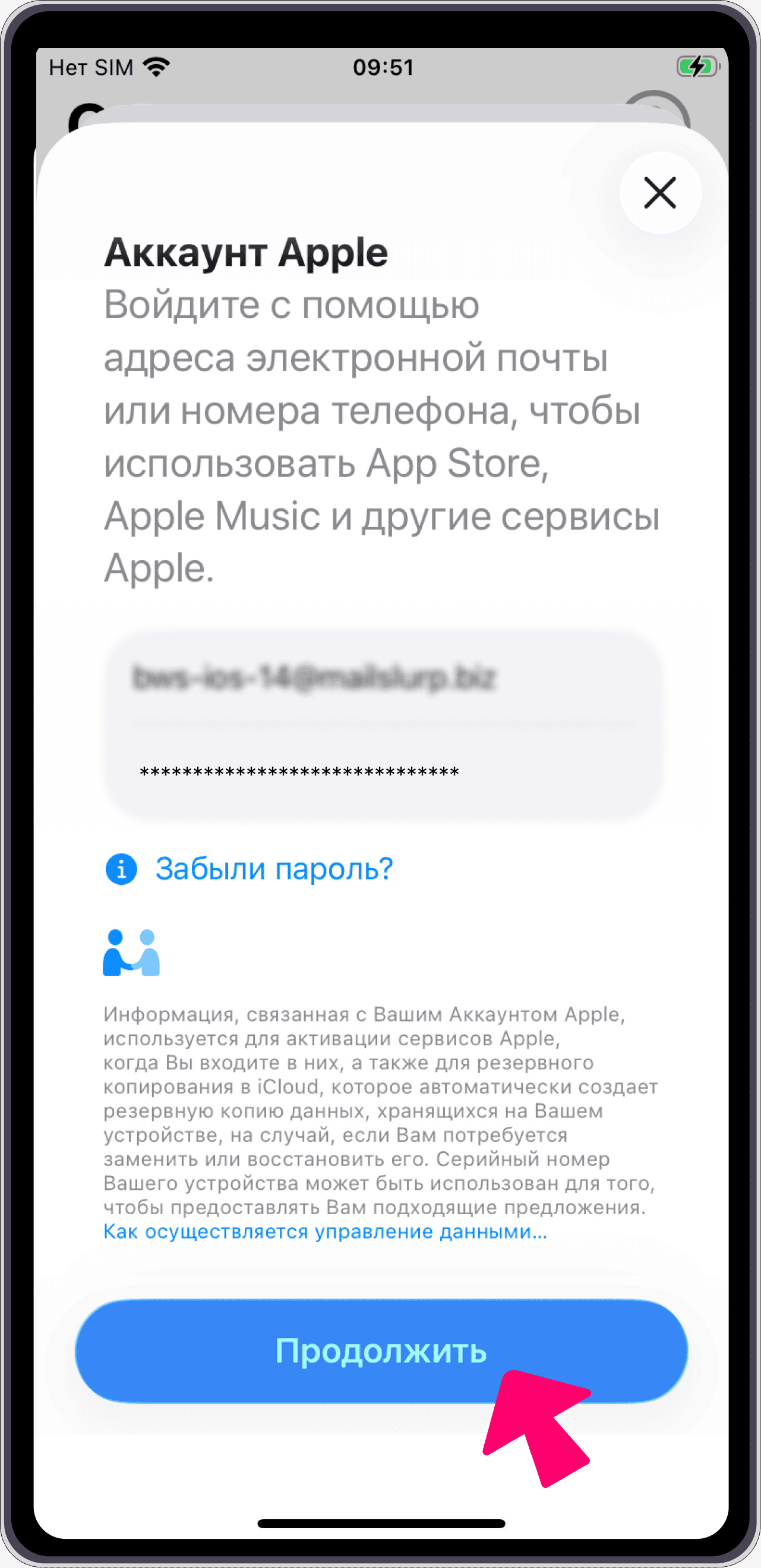 Ввод данных аккаунта
