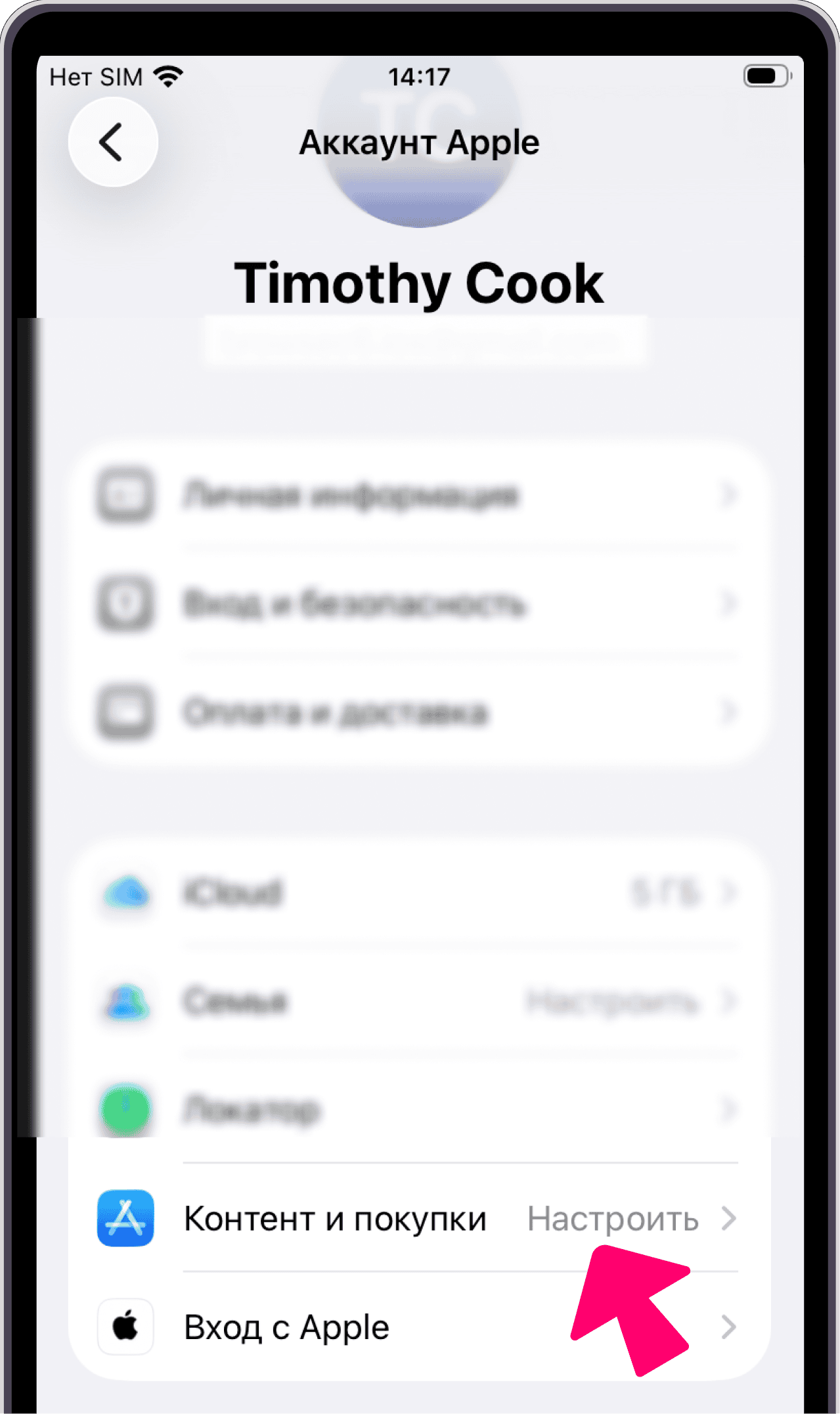 Пункт Контент и покупки